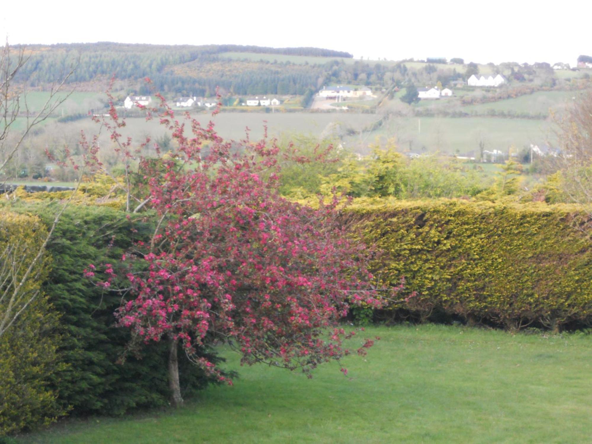Rhu Glenn Hotel Waterford Eksteriør billede