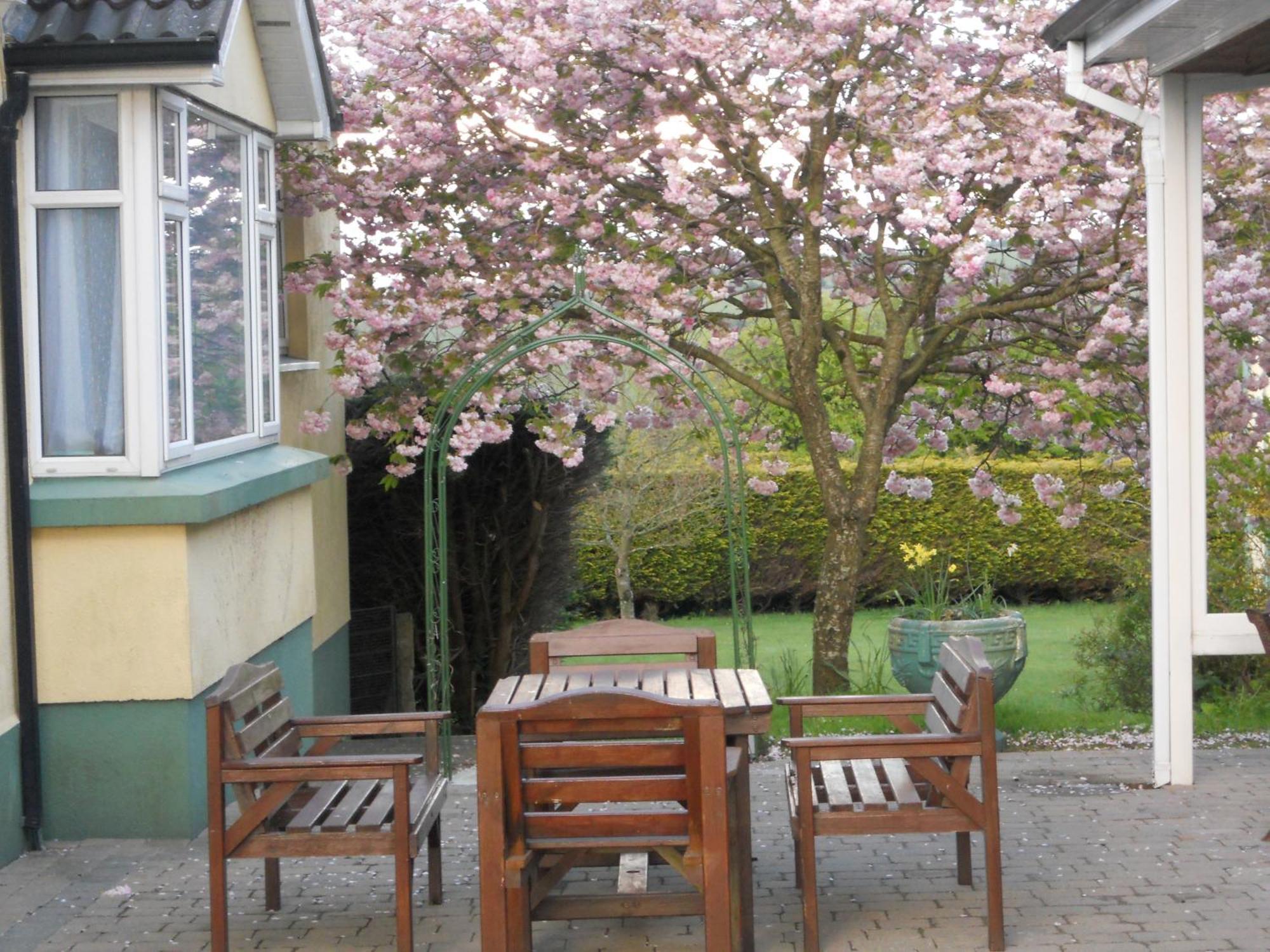 Rhu Glenn Hotel Waterford Eksteriør billede